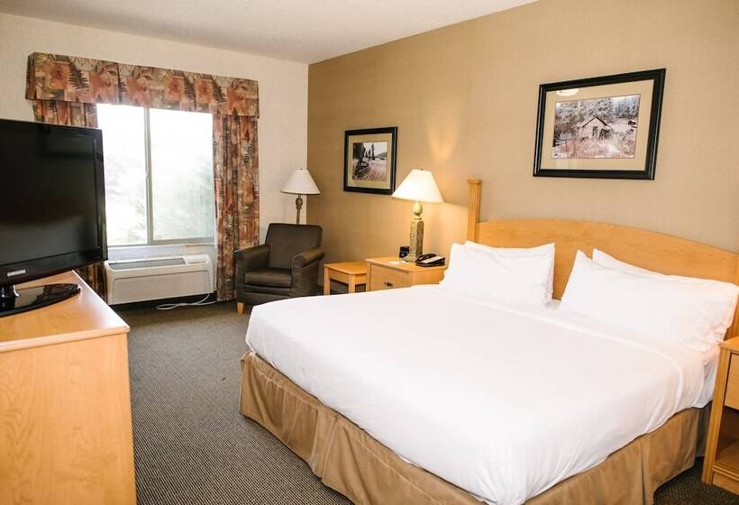 جناح, Holiday Inn Express & Suites Custer Mt Rushmore