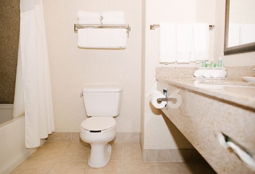 Люкс с Балконом, Holiday Inn Express & Suites Custer Mt Rushmore