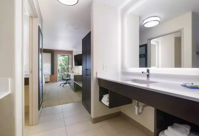 バルコニー付スイート, Holiday Inn Express & Suites Custer Mt Rushmore