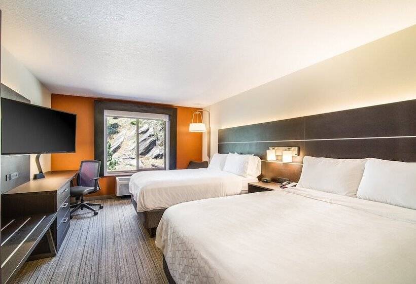 جناح لذوى الاحتياجات الخاصة, Holiday Inn Express & Suites Custer Mt Rushmore