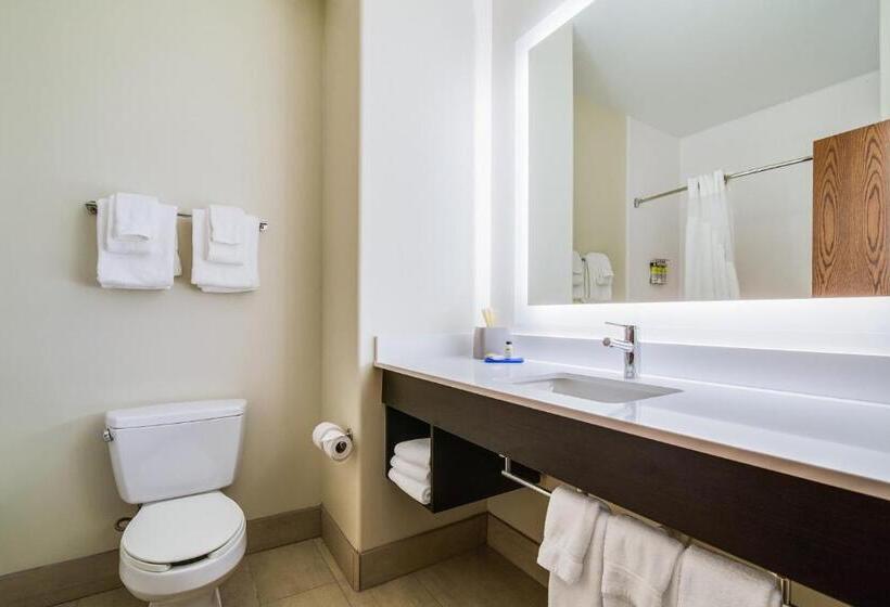 غرفة قياسية سرير كينج, Holiday Inn Express & Suites Custer Mt Rushmore