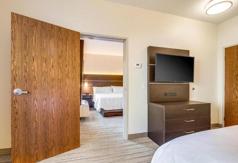 جناح إدارى سرير كينج, Holiday Inn Express & Suites Custer Mt Rushmore