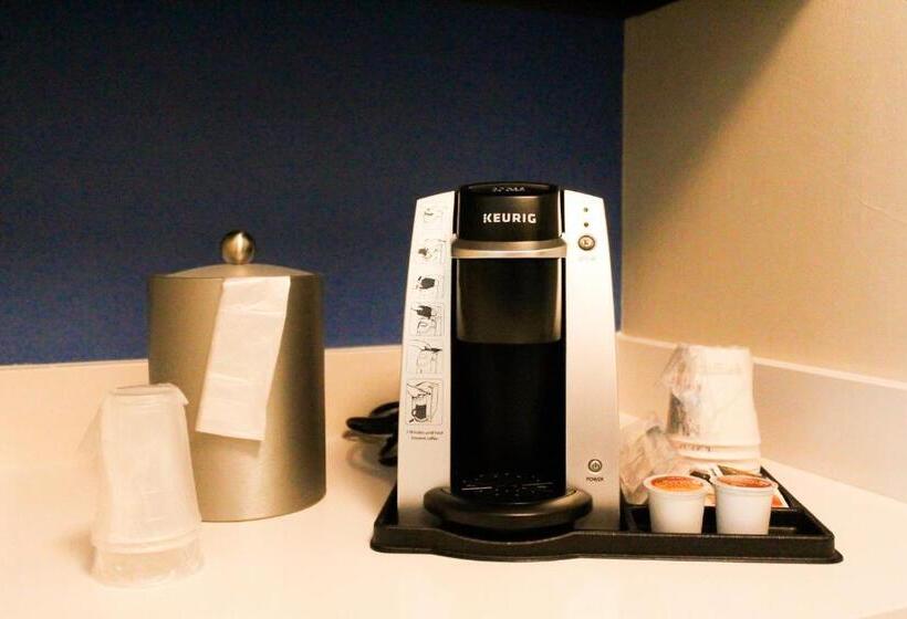 جناح إدارى سرير كينج, Holiday Inn Express & Suites Custer Mt Rushmore