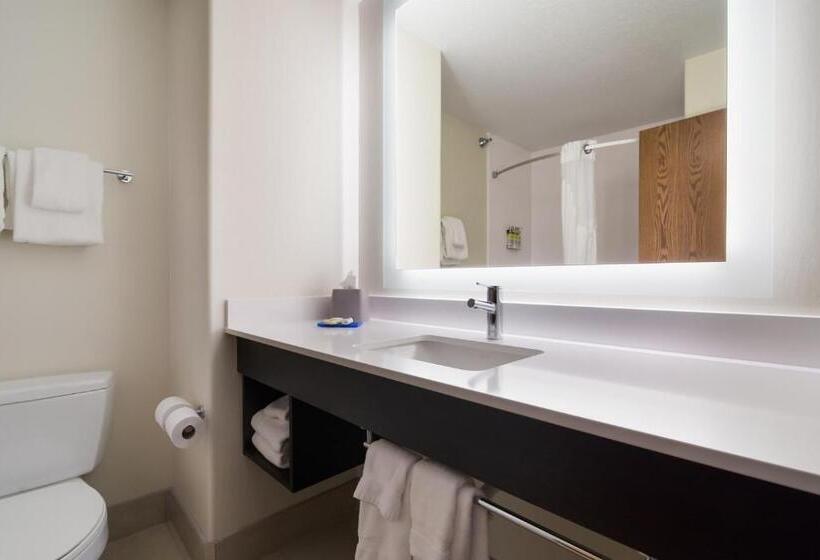 جناح سرير كينج, Holiday Inn Express & Suites Custer Mt Rushmore