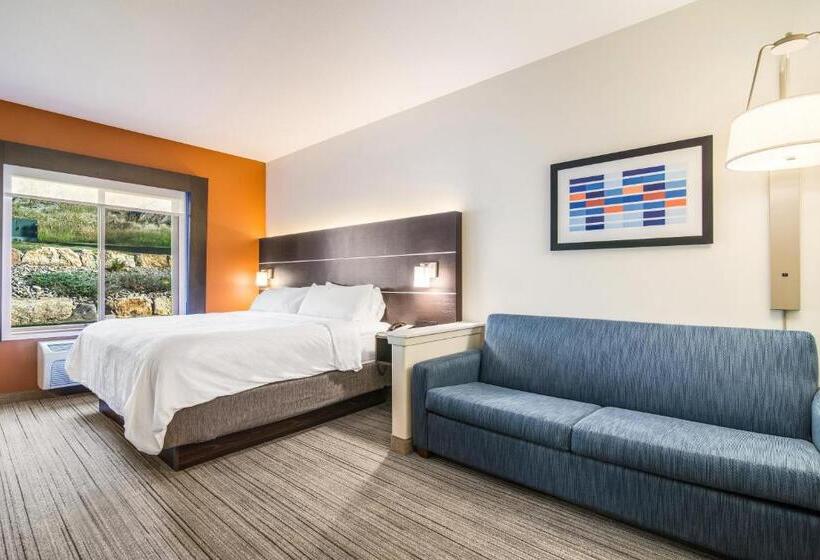 Люкс Кровать Кинг, Holiday Inn Express & Suites Custer Mt Rushmore
