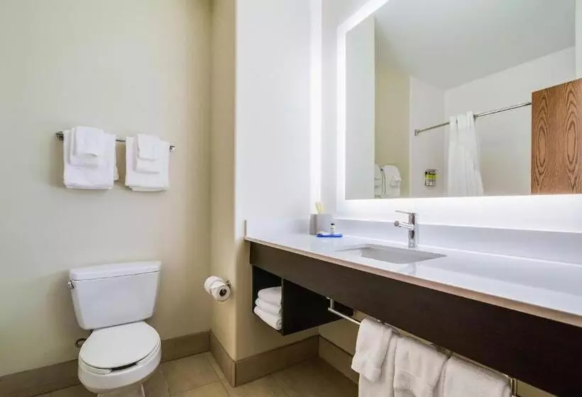 クイーンサイズベッドのスイートルーム, Holiday Inn Express & Suites Custer Mt Rushmore