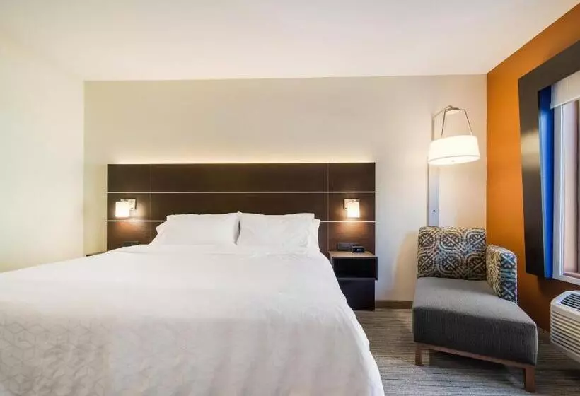 身障者適用スイートルーム, Holiday Inn Express & Suites Custer Mt Rushmore
