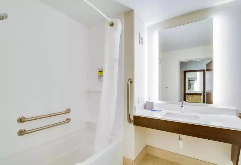 身障者適用キングサイズベッドルーム, Holiday Inn Express & Suites Custer Mt Rushmore