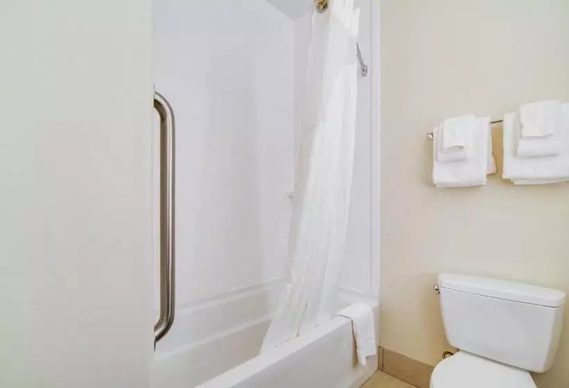 身障者適用キングサイズベッドルーム, Holiday Inn Express & Suites Custer Mt Rushmore