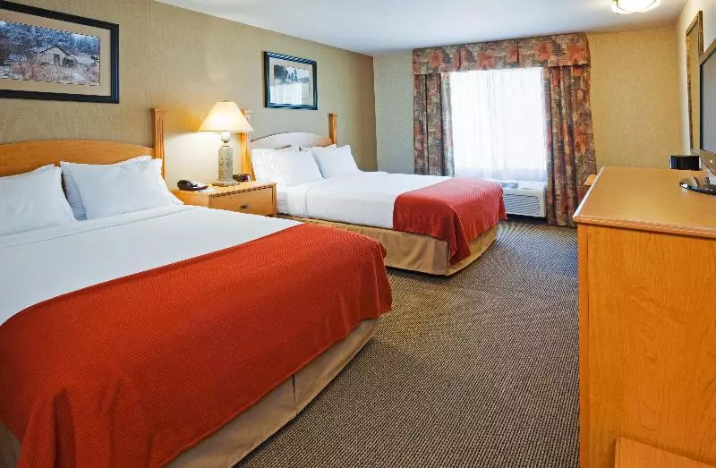 キングサイズベッドのスイートルーム, Holiday Inn Express & Suites Custer Mt Rushmore