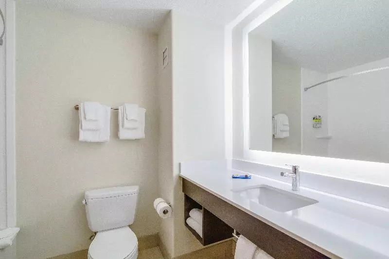 キングサイズベッドのスイートルーム, Holiday Inn Express & Suites Custer Mt Rushmore
