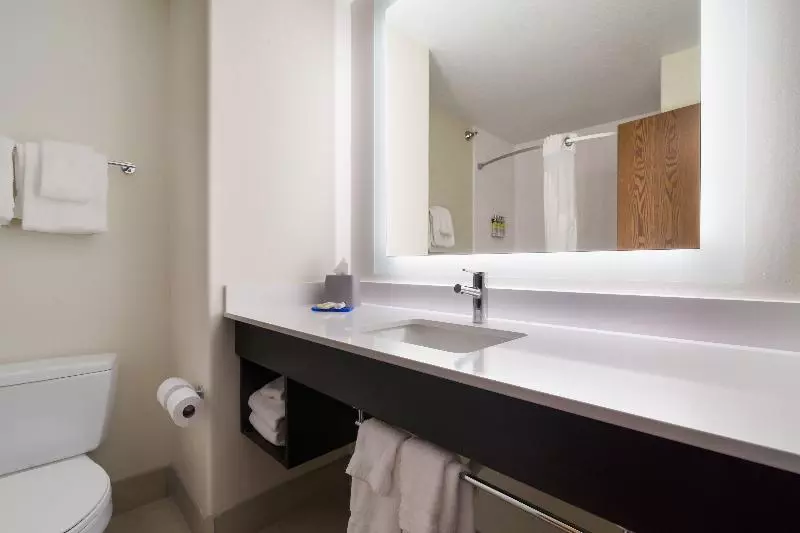 クイーンサイズベッドのスイートルーム, Holiday Inn Express & Suites Custer Mt Rushmore