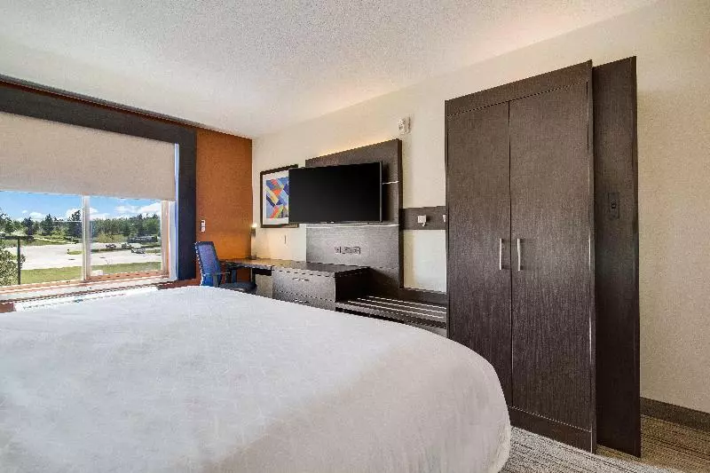 キングサイズベッドのスタンダードルーム, Holiday Inn Express & Suites Custer Mt Rushmore