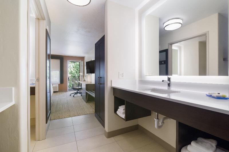 جناح إدارى سرير كينج, Holiday Inn Express & Suites Custer Mt Rushmore