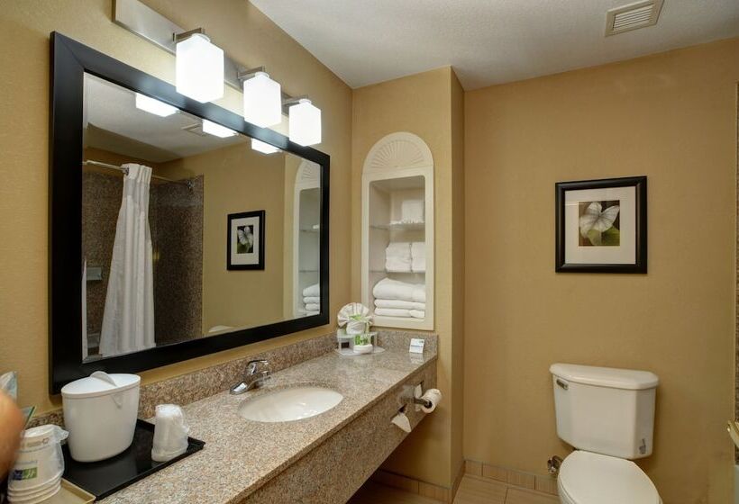 スイート, Holiday Inn Express & Suites Midwest City, An Ihg