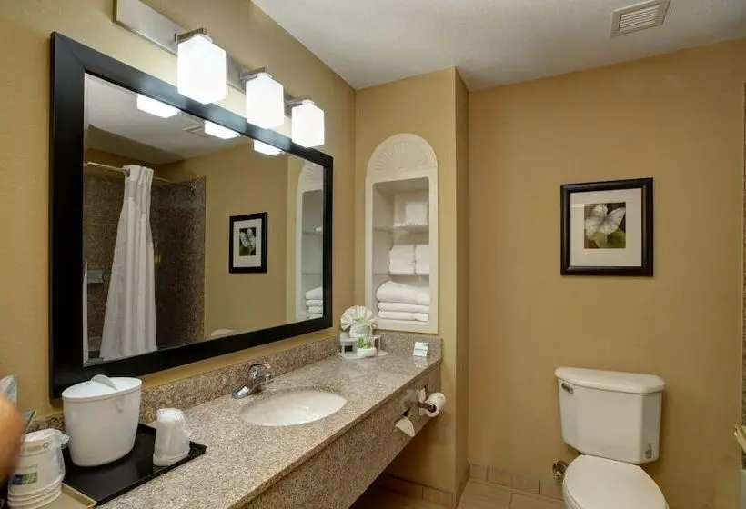 スイート, Holiday Inn Express & Suites Midwest City, An Ihg