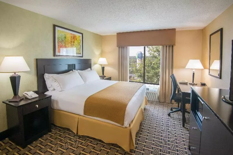 身障者適用キングサイズベッドルーム, Holiday Inn Express & Suites   Sharon Hermitage, An Ihg