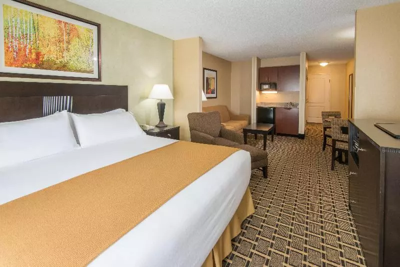 キングサイズベッドのスタンダードルーム, Holiday Inn Express & Suites   Sharon Hermitage, An Ihg