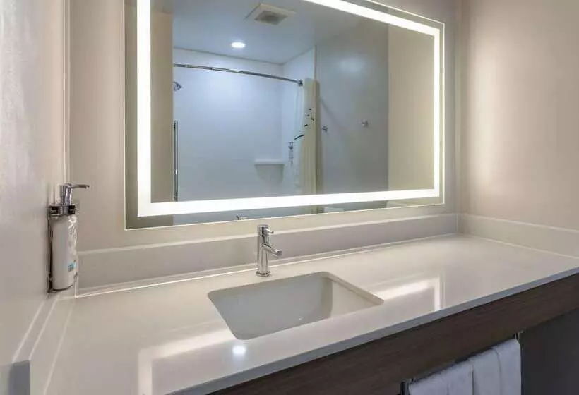 スイート, Holiday Inn Express Hotel & Suites Vineland Millville, An Ihg