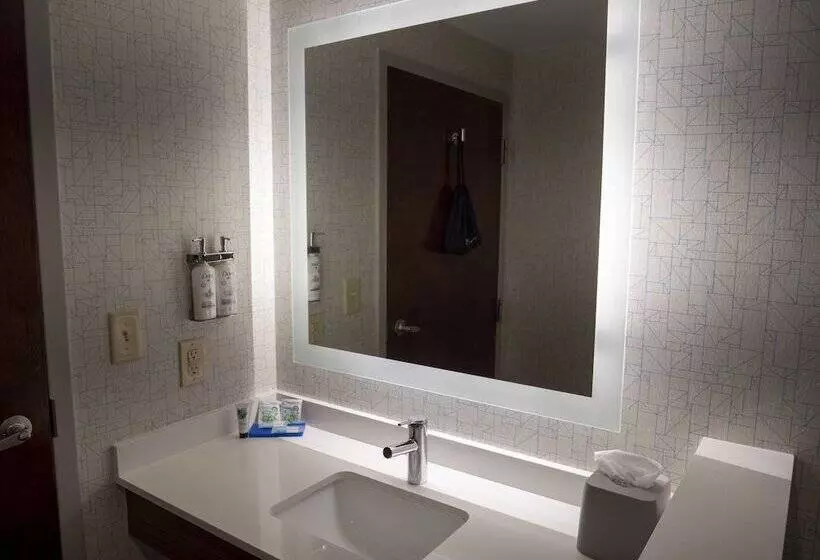 スイート, Holiday Inn Express & Suites Greenville Airport, An Ihg