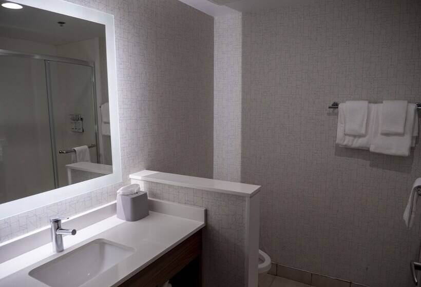 غرفة قياسية, Holiday Inn Express & Suites Greenville Airport, An Ihg