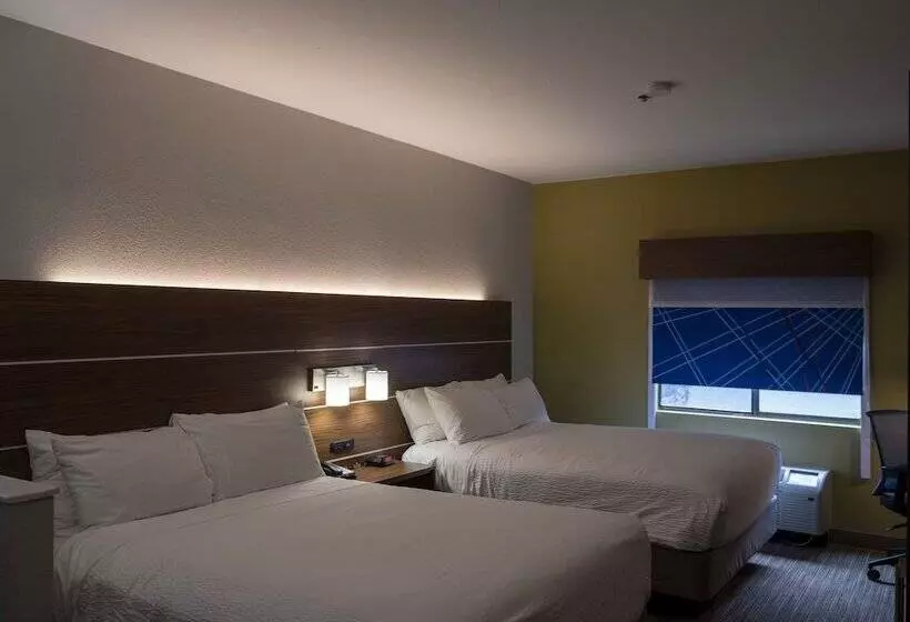 スタンダードルーム, Holiday Inn Express & Suites Greenville Airport, An Ihg