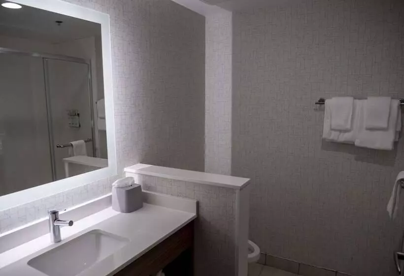 ２ダブルベッドのスタンダードルーム, Holiday Inn Express & Suites Greenville Airport, An Ihg