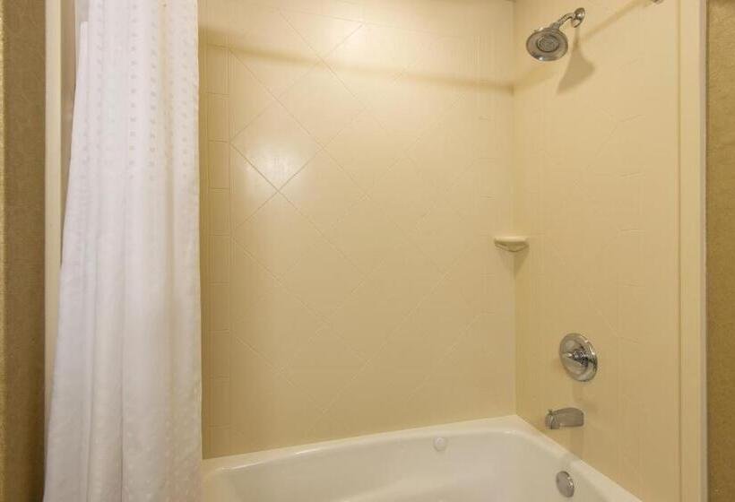 キングサイズベッドのエクゼクティブルーム, Holiday Inn Express & Suites Clovis, An Ihg