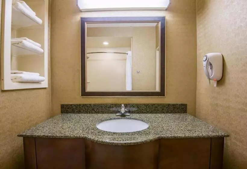 キングサイズベッドのエクゼクティブルーム, Holiday Inn Express & Suites Clovis, An Ihg