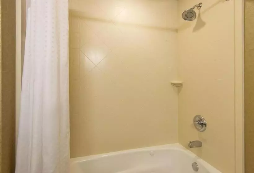 スタンダードルーム, Holiday Inn Express & Suites Clovis, An Ihg