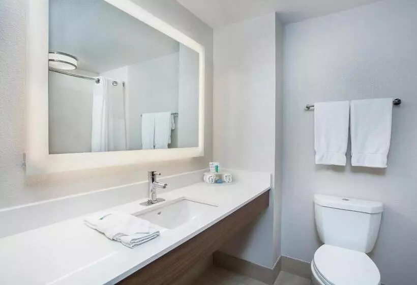 キングサイズベッドのスタンダードルーム, Holiday Inn Express & Suites Lebanon Nashville Area, An Ihg