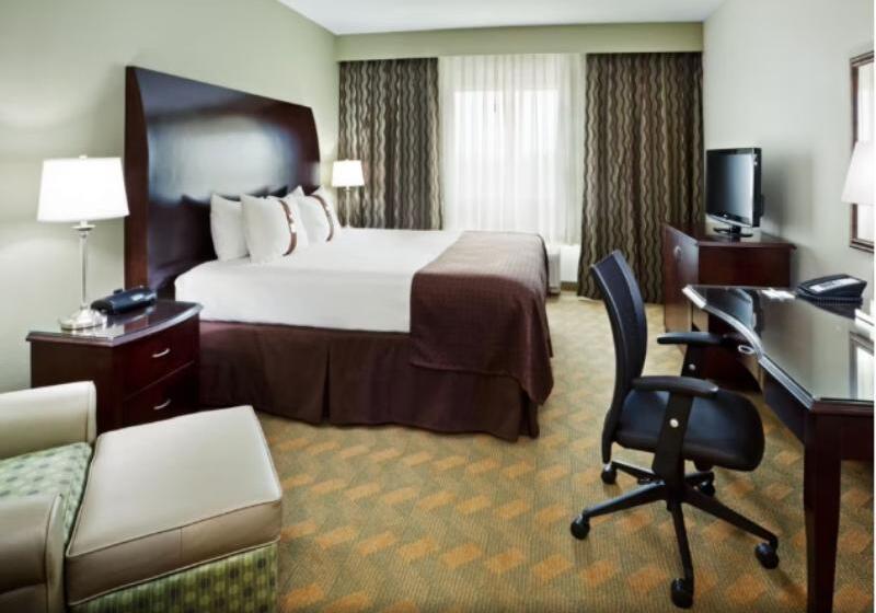 身障者適用キングサイズベッドルーム, Holiday Inn Rock Hill, An Ihg