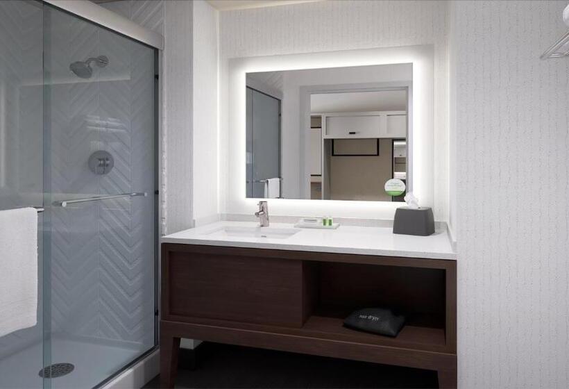 キングサイズベッドのスタンダードルーム, Holiday Inn Rock Hill, An Ihg