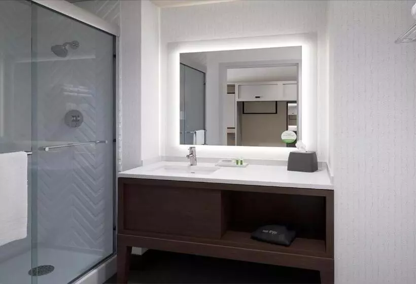 キングサイズベッドのスタンダードルーム, Holiday Inn Rock Hill, An Ihg