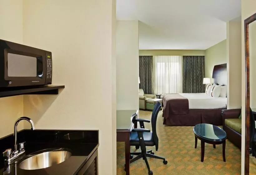 身障者適用キングサイズベッドルーム, Holiday Inn Rock Hill, An Ihg