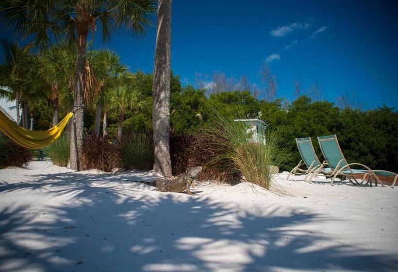 חדר סטנדרט מותאם לאדם עם מוגבלויות, Ibis Bay Resort