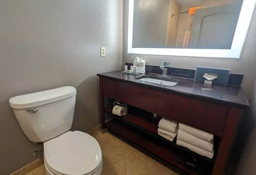 デラックスルーム, La Quinta By Wyndham Woodway   Waco South