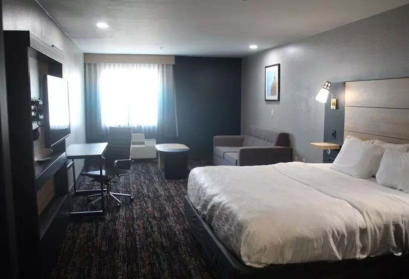 障害者適応デラックスルーム, La Quinta By Wyndham Woodway   Waco South