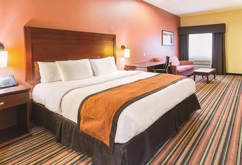 障害者適応デラックスルーム, La Quinta By Wyndham Woodway   Waco South