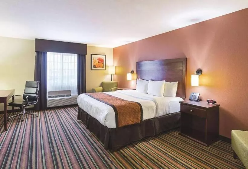 １ベッドルームアパートメント, La Quinta By Wyndham Woodway   Waco South