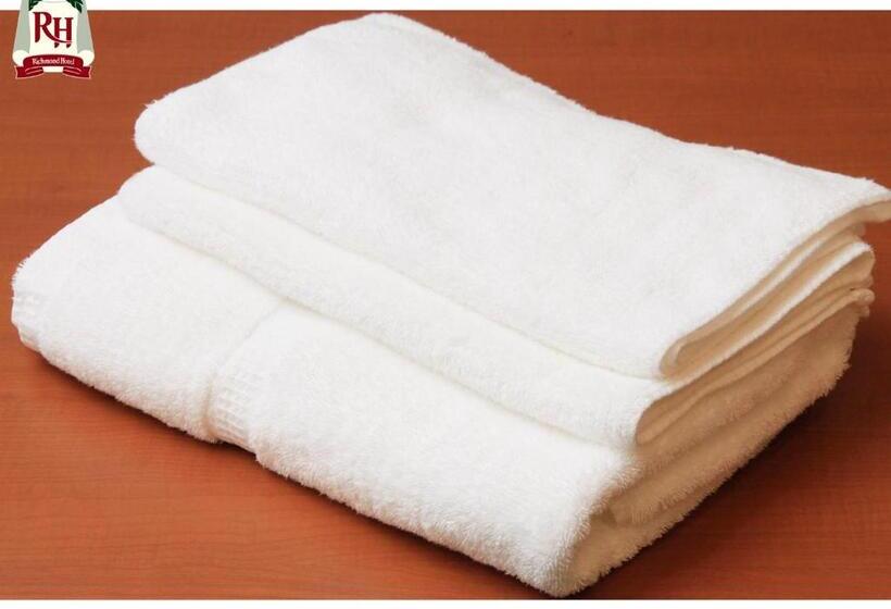 חדר סטנדרט, Richmond Hotel Tokyo Shiba