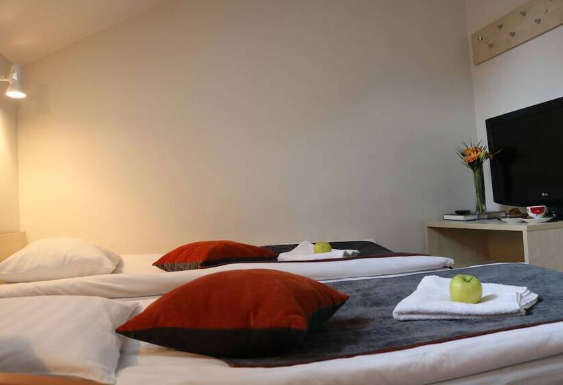 اتاق استاندارد با سرویس بهداشتی مشترک, Apple Economy Hotel