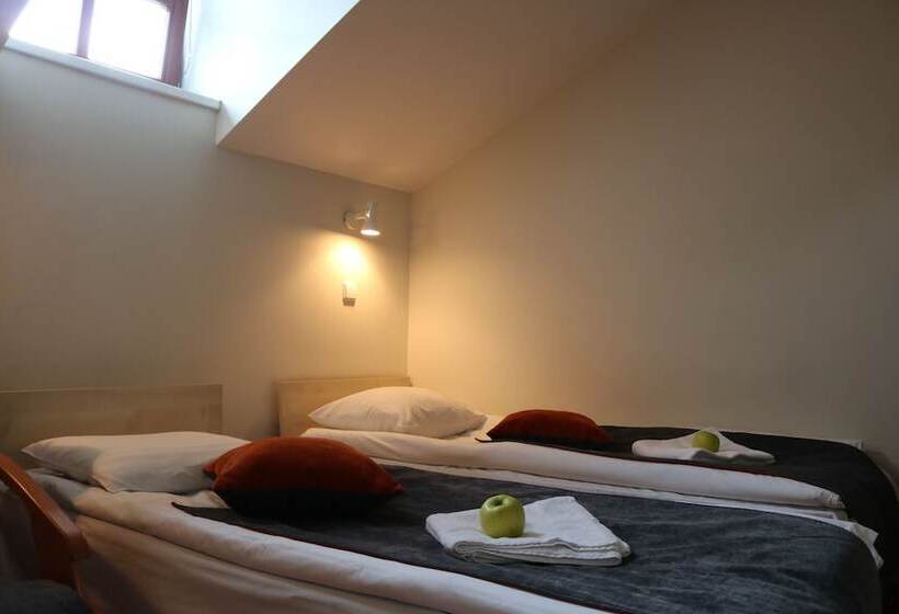 اتاق استاندارد با سرویس بهداشتی مشترک, Apple Economy Hotel