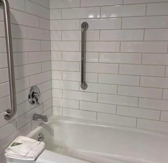 身障者適用キングサイズベッドルーム, Chateau Big Bear Boutique Hotel, Bw Signature Collection