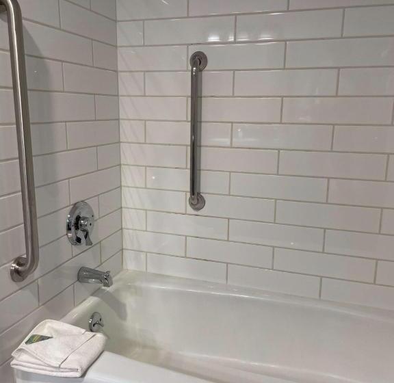 חדר סטנדרט מותאם לאדם עם מוגבלויות, Chateau Big Bear Boutique Hotel, Bw Signature Collection