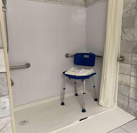 חדר סטנדרט, מיטת קינג, מותאם לאדם עם מוגבלויות, Chateau Big Bear Boutique Hotel, Bw Signature Collection