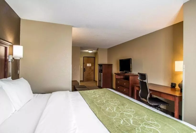 スイート, Comfort Suites Columbia  University Area