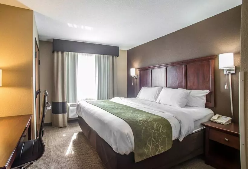 スイート, Comfort Suites Columbia  University Area