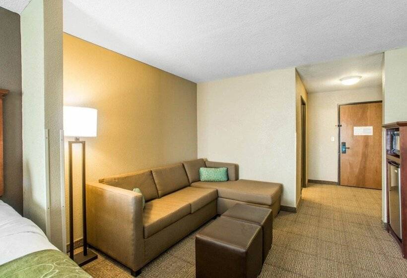 Люкс, Comfort Suites Columbia University Area