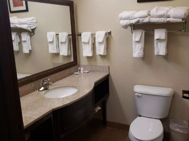 スタンダードルーム, Comfort Suites Columbia  University Area